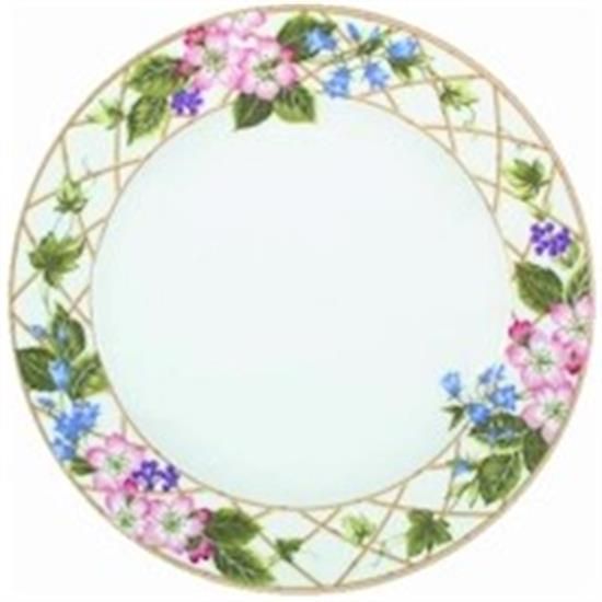 Picture of Dinner Plates