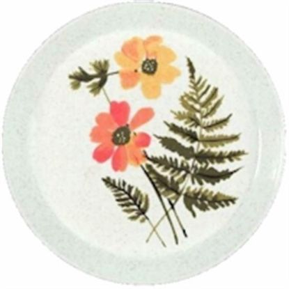 Picture of Dinner Plates