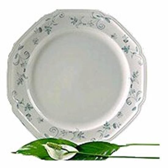 Picture of Dinner Plates