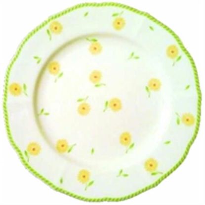 Picture of Dinner Plates