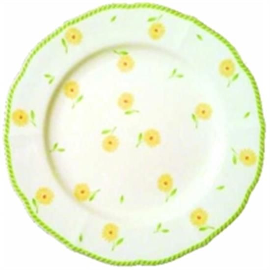 Picture of Dinner Plates