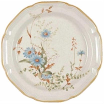 Picture of Dinner Plates