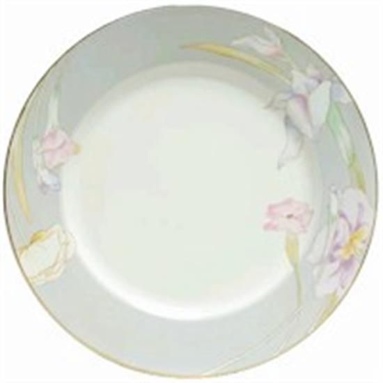 Picture of Dinner Plates