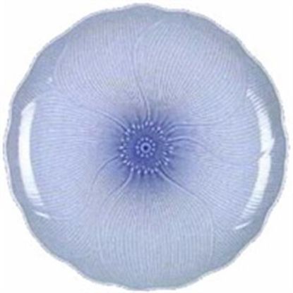 Picture of Dinner Plates