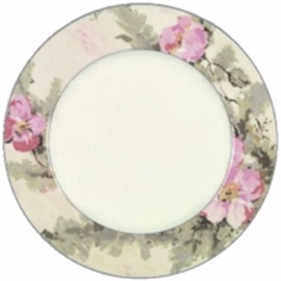 Picture of Dinner Plates