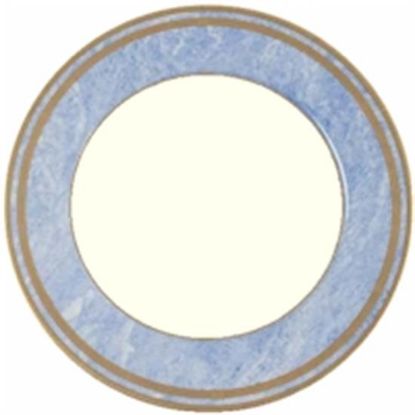Picture of Dinner Plates
