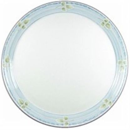 Picture of Dinner Plates