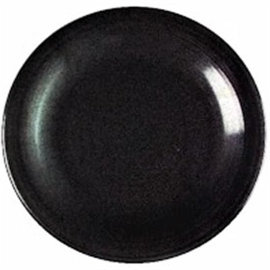 Picture of Dinner Plates