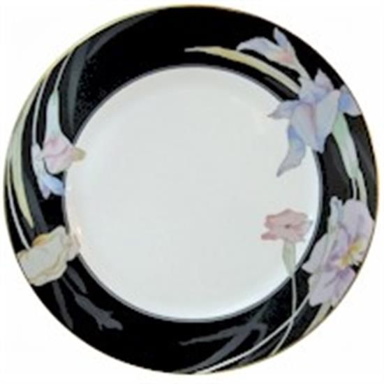 Picture of Dinner Plates