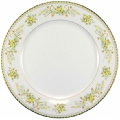 Picture of Dinner Plates