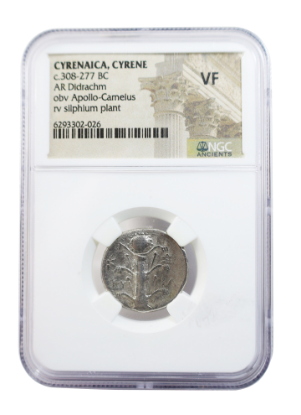 Picture of CYRENAICA, CYRENE | AR Didrachm | Silphium | c. 300–277 BC | NGC F