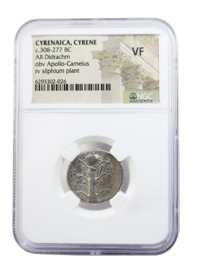 Picture of CYRENAICA, CYRENE | AR Didrachm | Silphium | c. 300–277 BC | NGC F