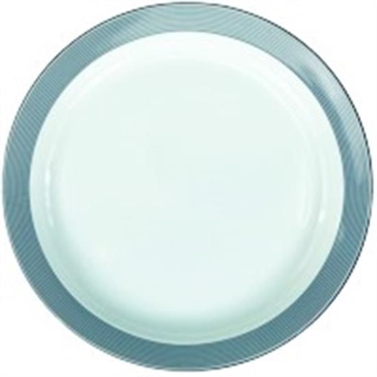 Picture of Dinner Plates