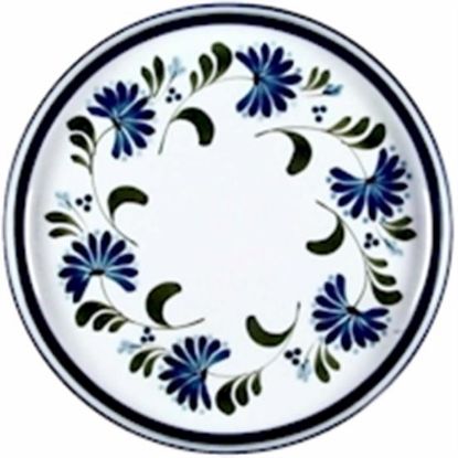Picture of Dinner Plates