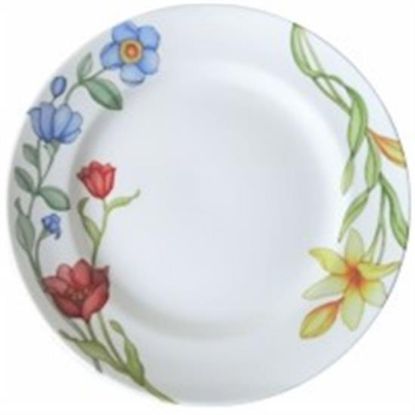 Picture of Dinner Plates