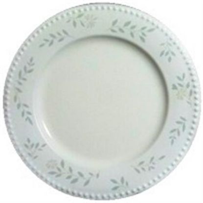 Picture of Dinner Plates