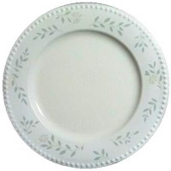 Picture of Dinner Plates