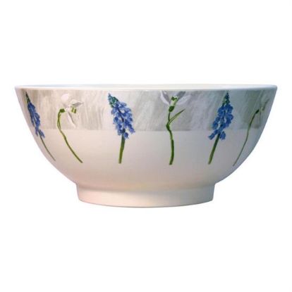 Picture of New Open Veg. Bowl