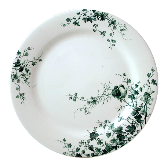 Picture of New Dinner Plate