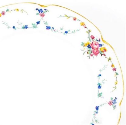 Picture of Dinner Plates