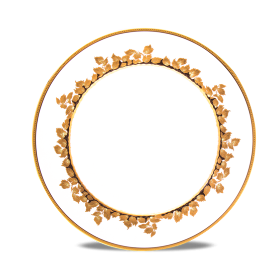 Picture of New Dinner Plate