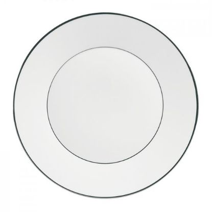 Picture of New Dinner Plate
