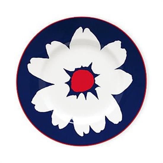 Picture of Dinner Plates