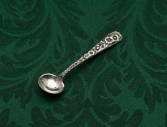 Picture of Ind. Salt Spoon