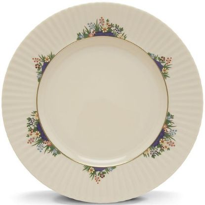 Picture of New Dinner Plate