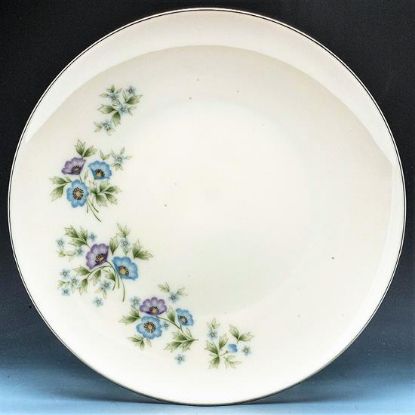 Picture of Dinner Plates
