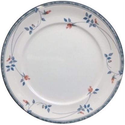 Picture of Dinner Plates
