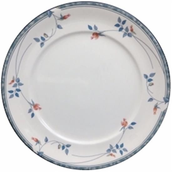 Picture of Dinner Plates