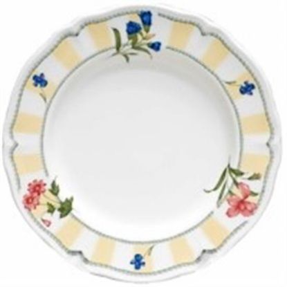 Picture of Dinner Plates