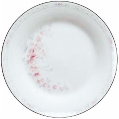 Picture of Dinner Plates