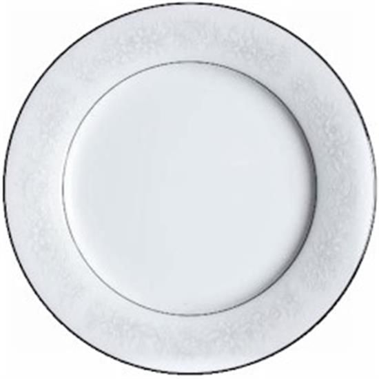 Picture of Dinner Plates