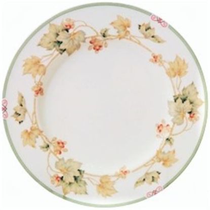 Picture of Dinner Plates