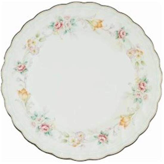 Picture of Dinner Plates
