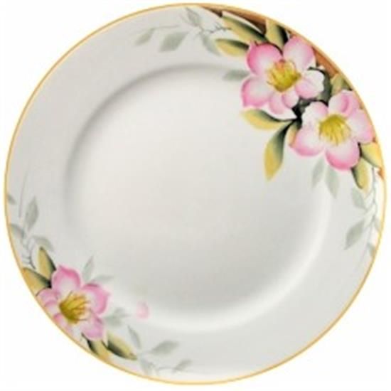 Picture of Dinner Plates