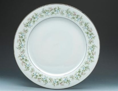 Picture of Dinner Plates