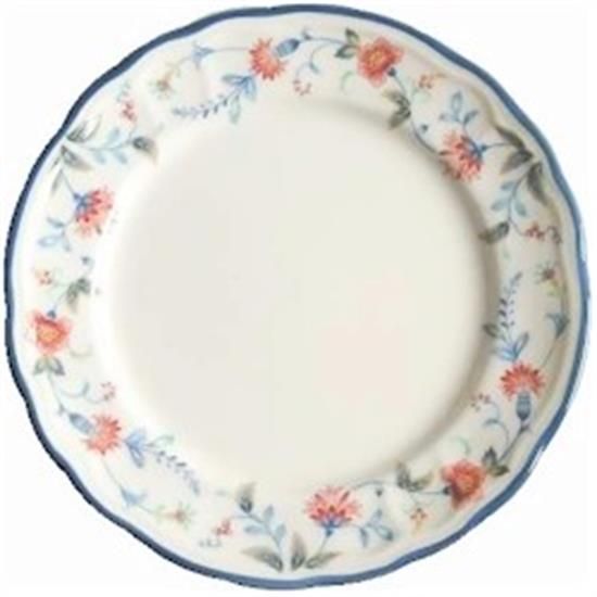 Picture of Dinner Plates