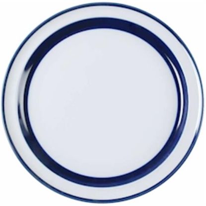 Picture of Dinner Plates