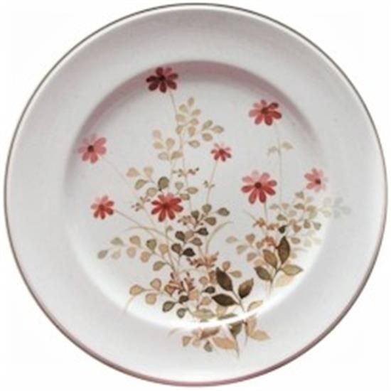 Picture of Dinner Plates