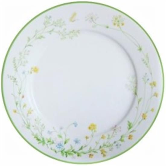 Picture of Dinner Plates
