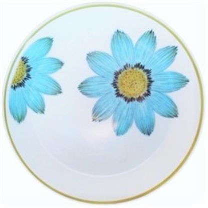 Picture of Dinner Plates