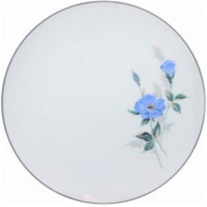 Picture of Dinner Plates
