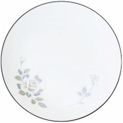 Picture of Dinner Plates