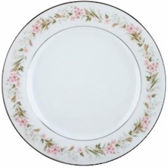Picture of Dinner Plates