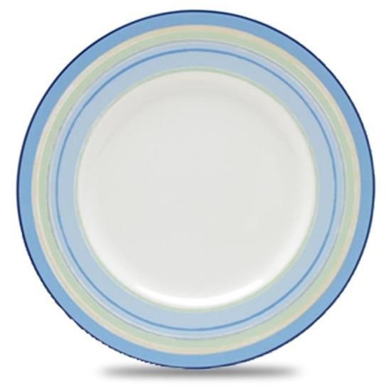Picture of Dinner Plates