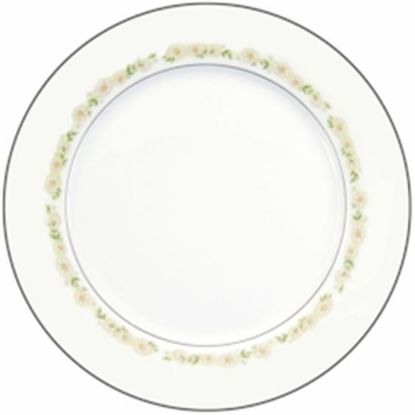 Picture of Dinner Plates