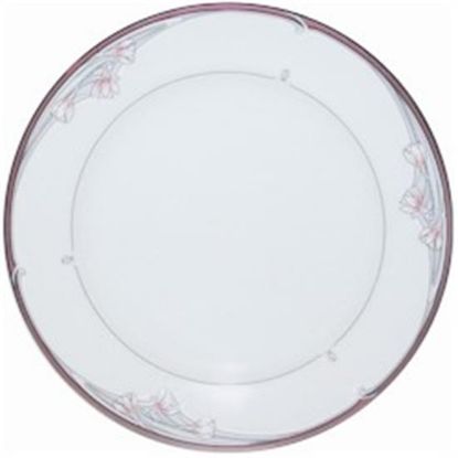 Picture of Dinner Plates